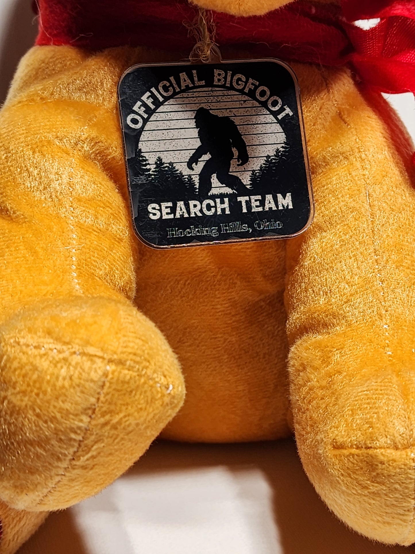 Bigfoot Search Team Puppy